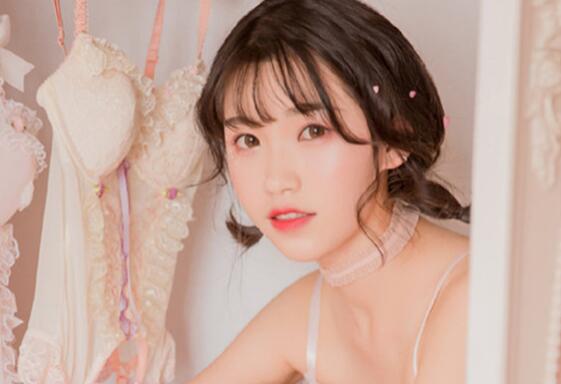 狗狗名字大全洋气点的