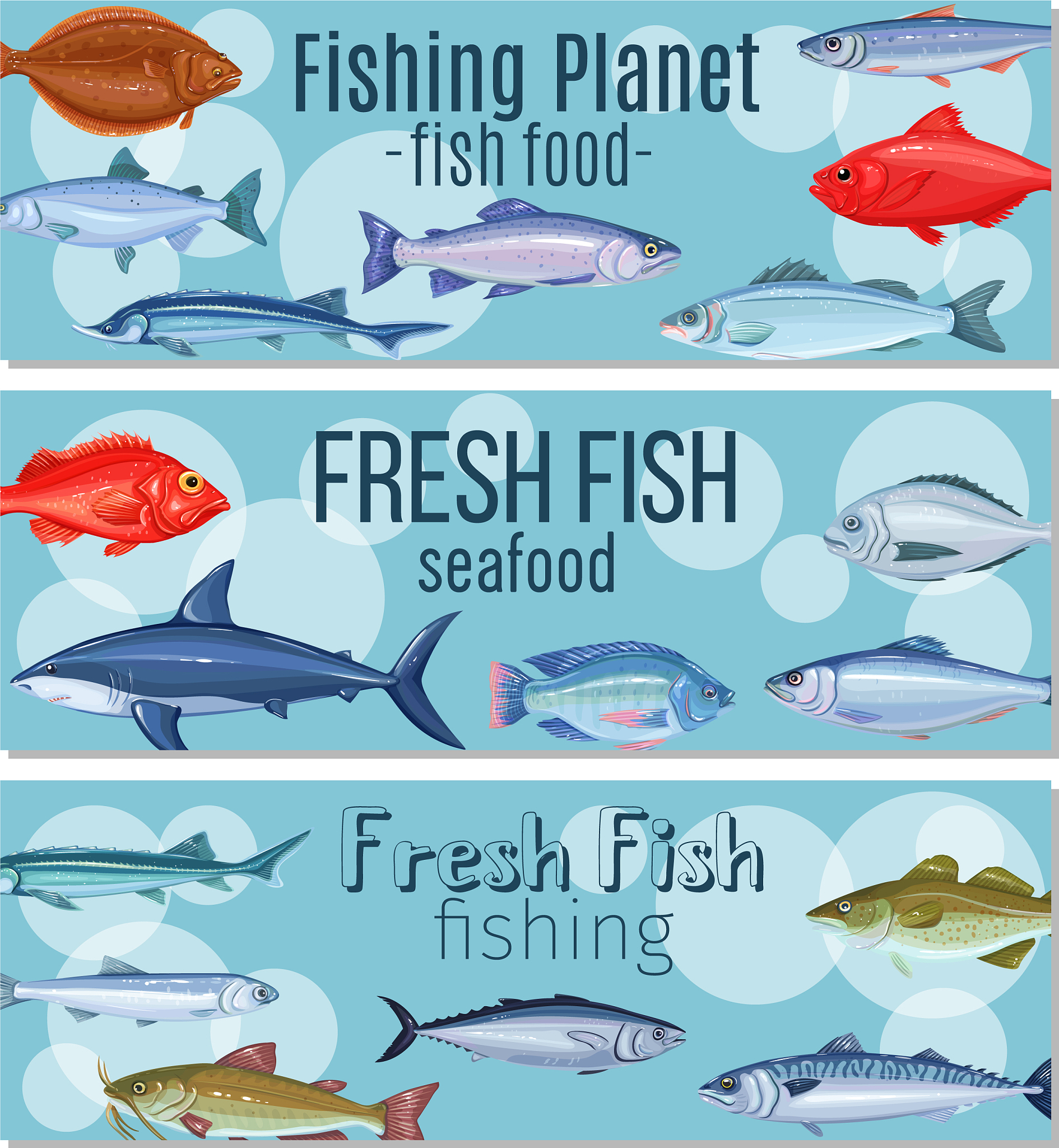 从米粒到海洋霸主：揭秘旗鱼的惊天逆袭之路